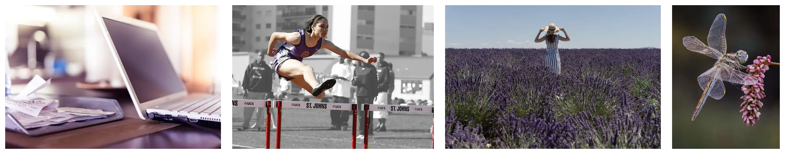 보험은 선택이 아닌 준비입니다