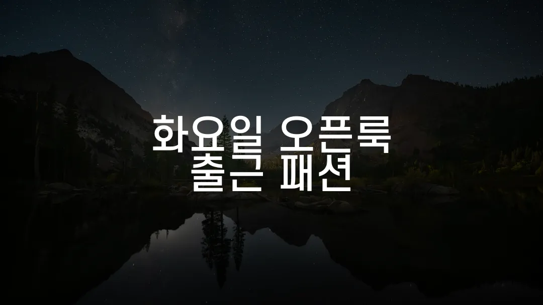 화요일 오픈룩 출근 패션