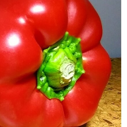 파프리카효능