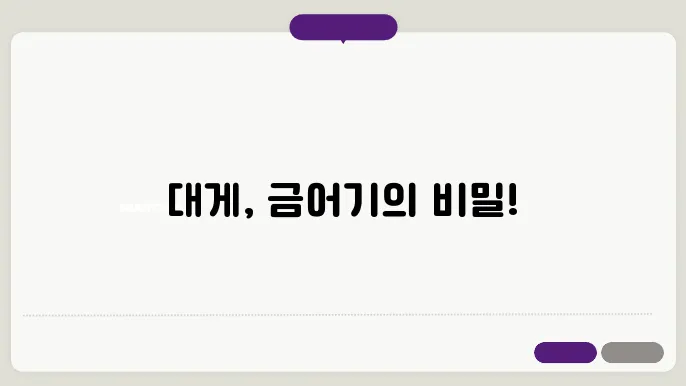 대게 금어기