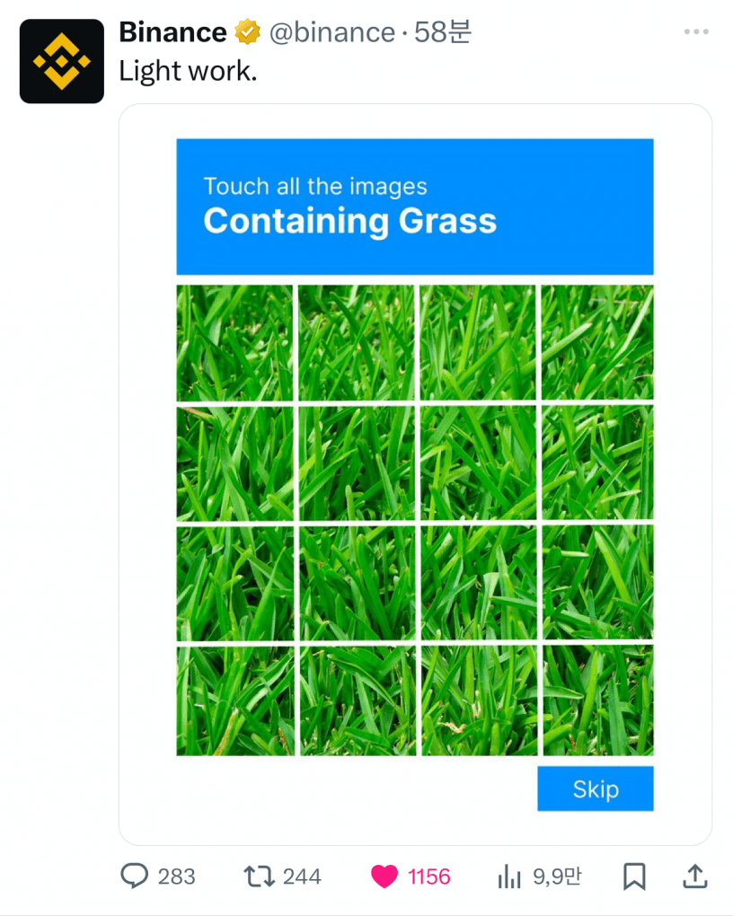 바이낸스 그래스 코인 binance grass coin