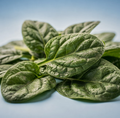 빈혈에 좋은 음식