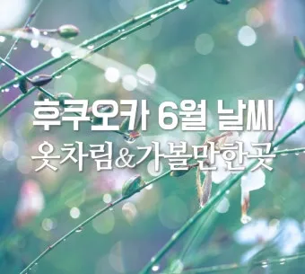 6월 후쿠오카 날씨와 여행 준비물, 완벽 체크리스트_36