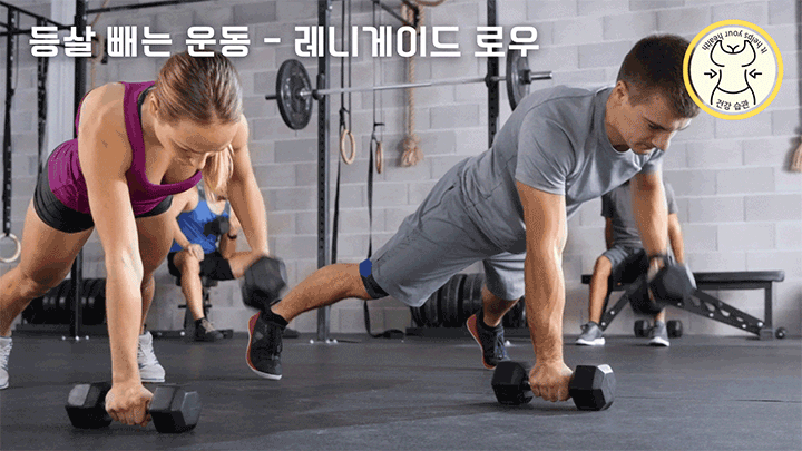 아름다운 뒷 모습를 위한 등살 빼는 운동 5가지 - 레니게이드 로우