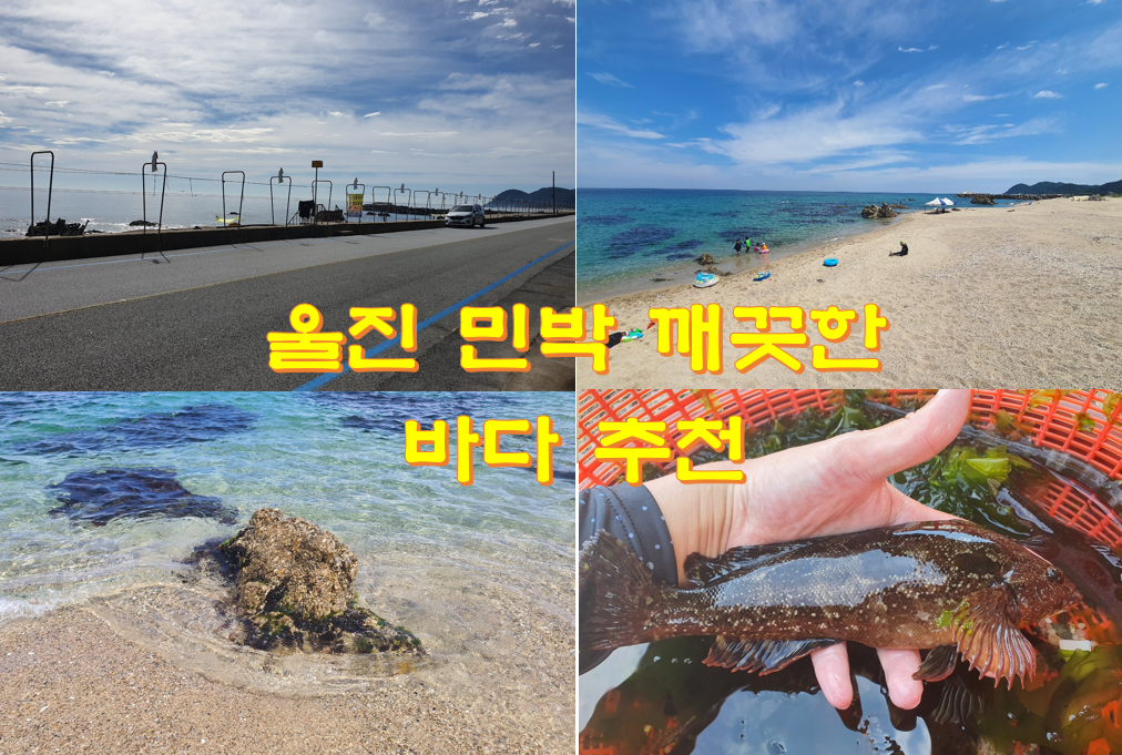 울진 민박