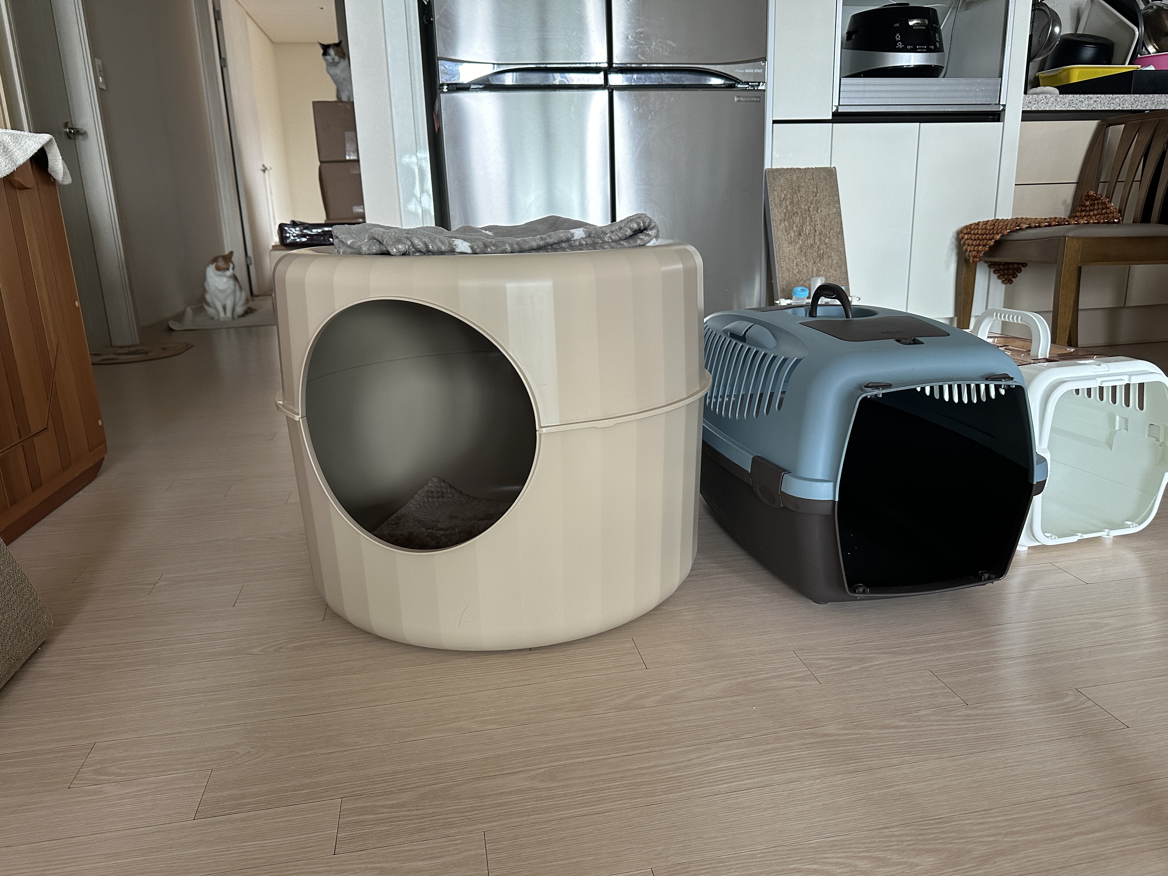 아무도_없는_거실_마카롱하우스_1층