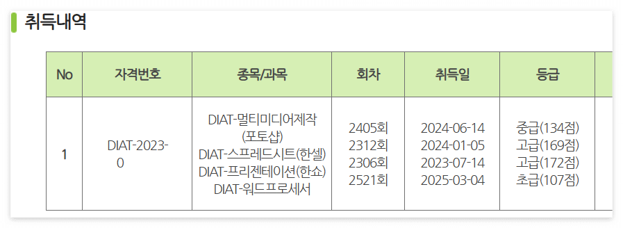 디지털정보활용능력-취득내역
