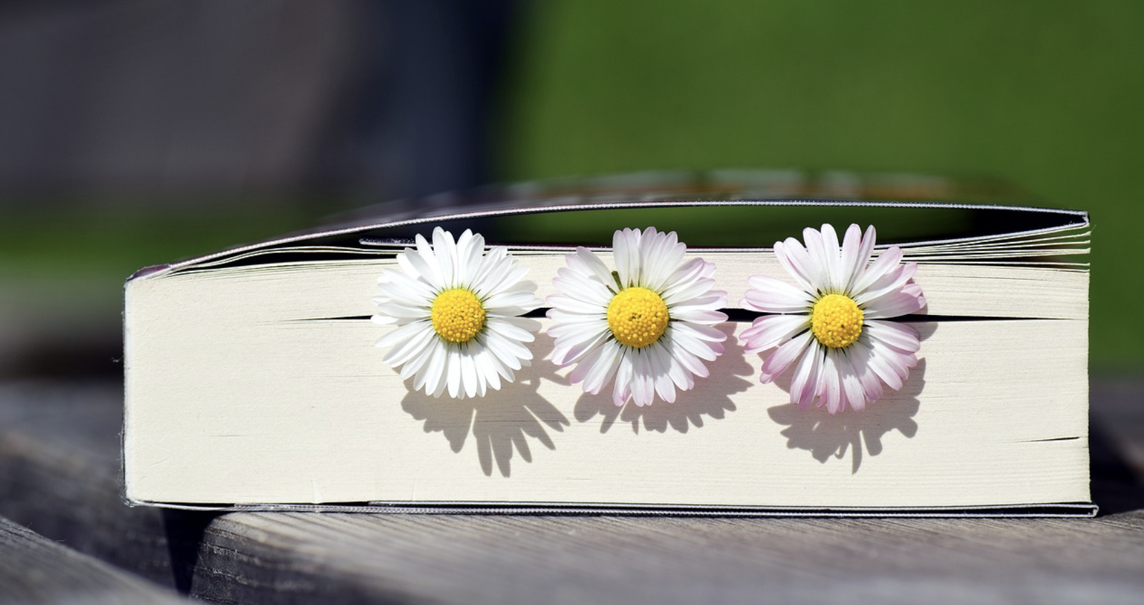 나에게 어울리는 책은? – 추천 도서 찾기