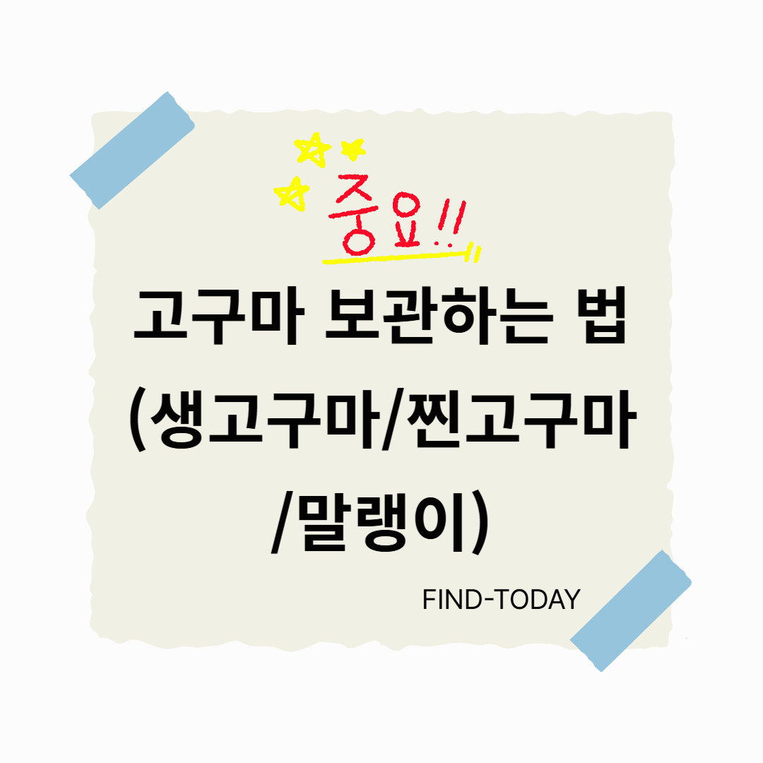 고구마 보관하는 법 (생고구마,찐고구마,말랭이) 냉장 냉동