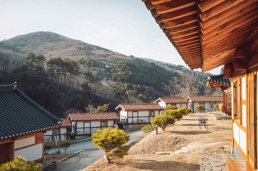 특별한 대한민국 국내 로컬 여행
