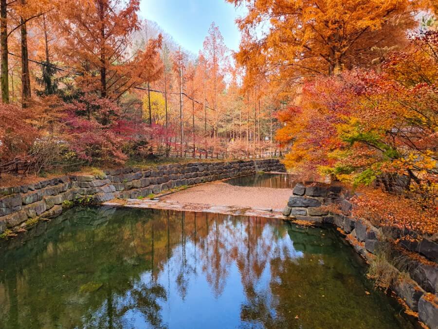 장태산 자연 휴양림