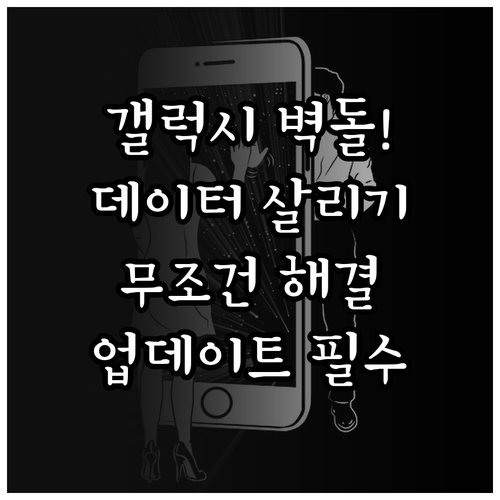 갤럭시 업데이트 후 벽돌 현상 복구 ..