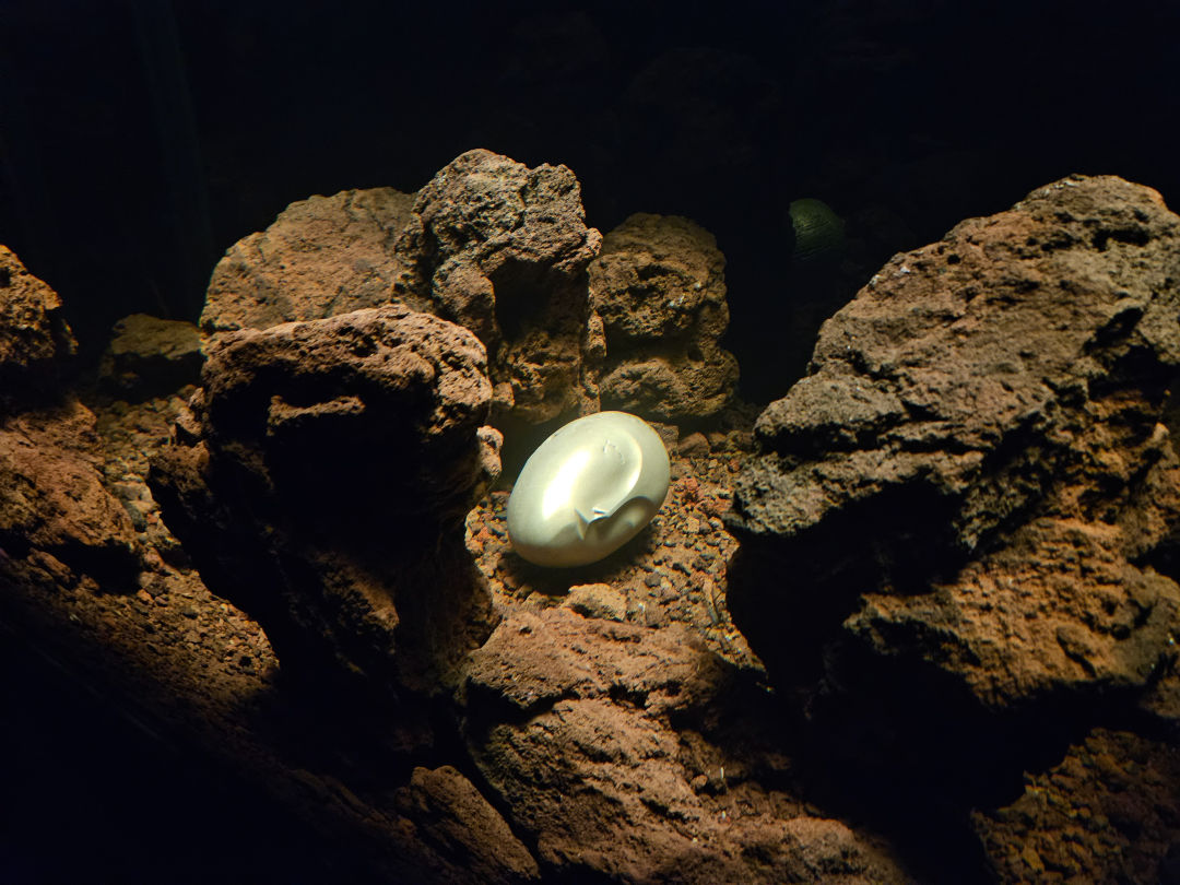 리움 미술관 피에르위그 주드람