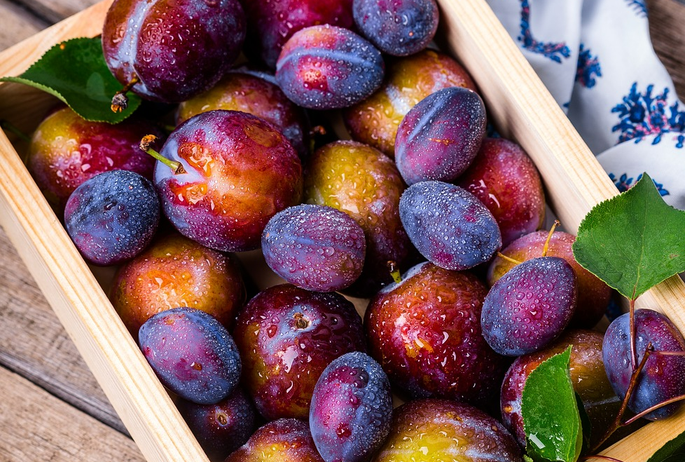 자두의효능과 부작용