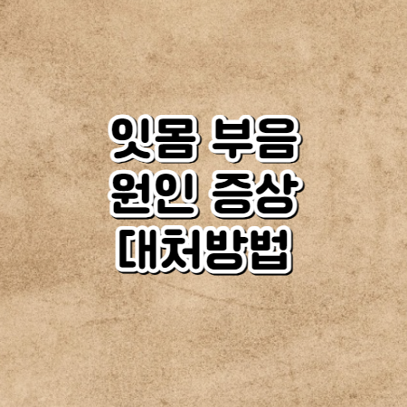 잇몸이 붓고 아플때 잇몸 부음 원인, 증상, 처치 완화방법