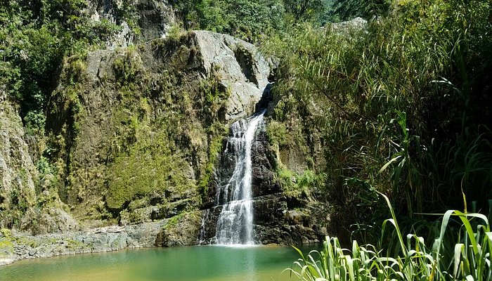하몬스 (Jarabacoa)