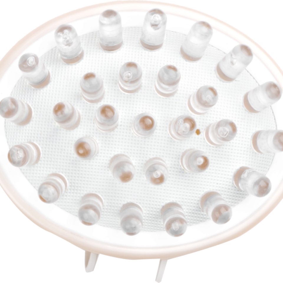 아기해외여행준비물