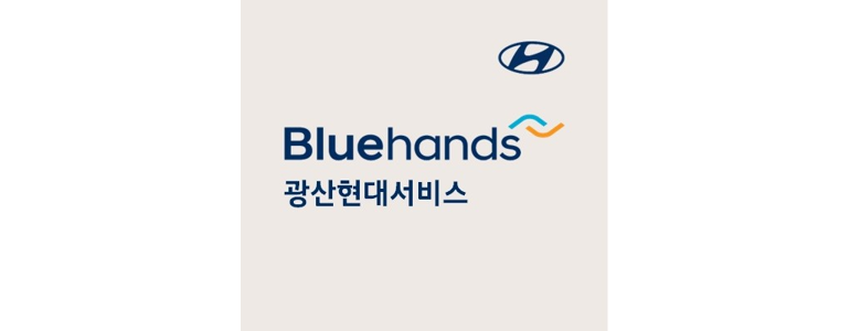 광주 광산구 블루핸즈