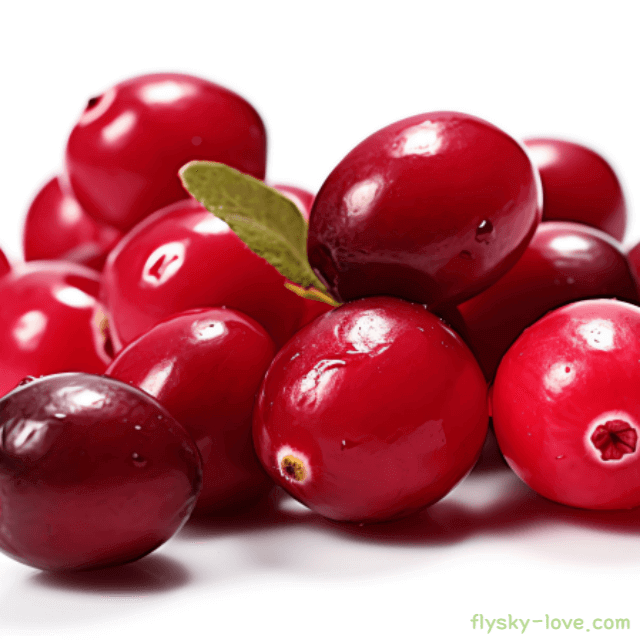 크랜베리(Cranberry) 효능