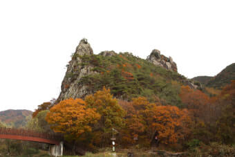 단풍
