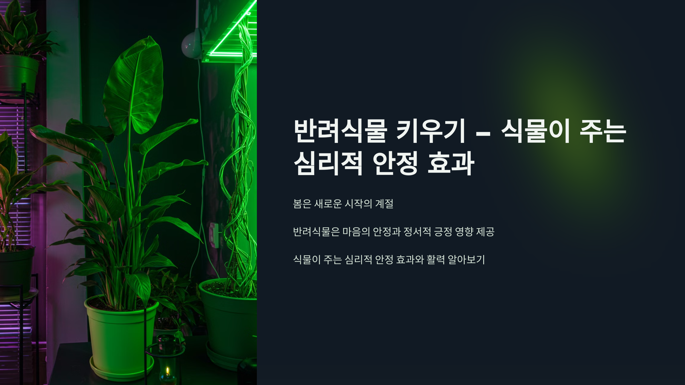 반려식물 키우기- 식물이 주는 심리적 안정효과
