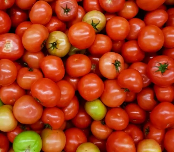 혓바늘 좋은음식