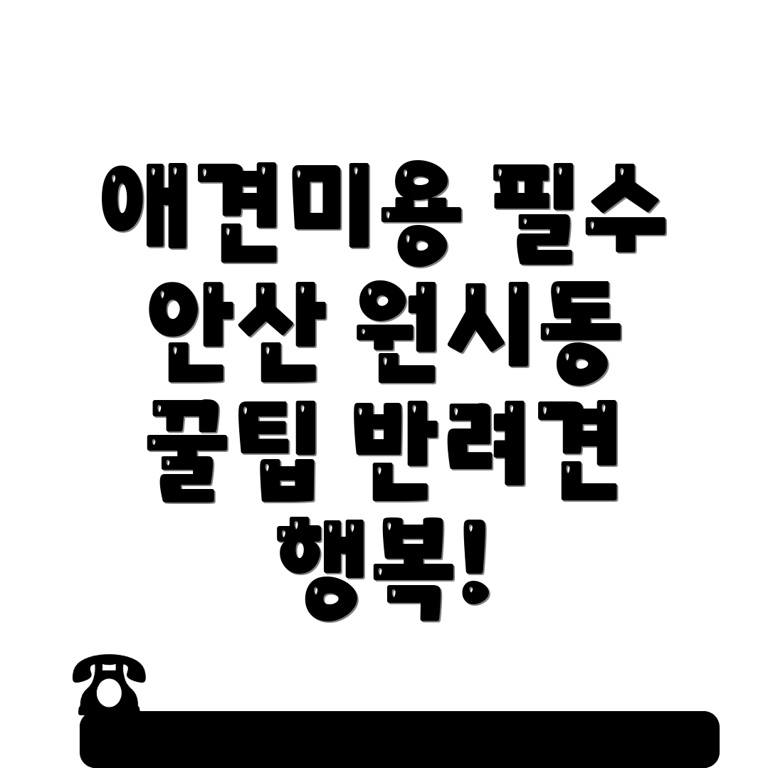 애견미용