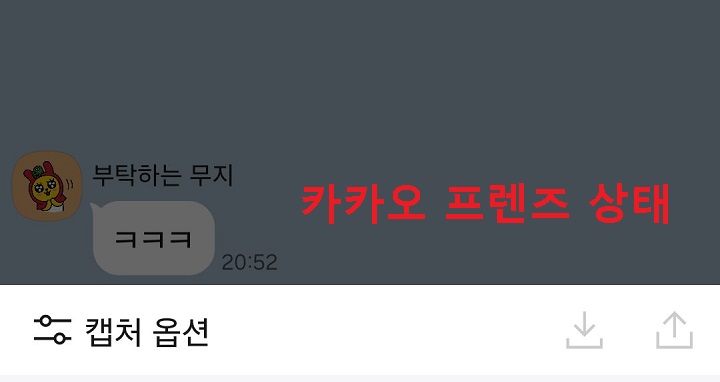 프로필이 카카오프렌즈로 바뀜