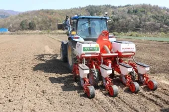 2025년 10월에 파종하기 좋은 작물들 농업 재배법_22