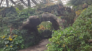 화성_우리꽃식물원_국화전시회