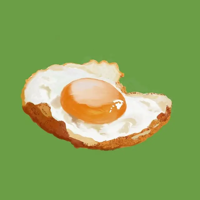 단백질 보충제