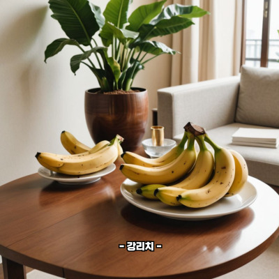 바나나 효능