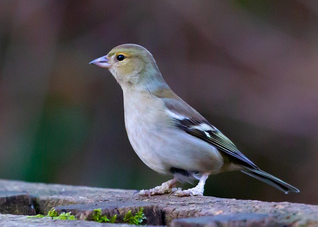 전립선비대증 증상 5