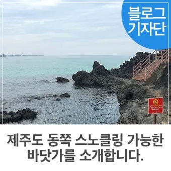제주도 스노쿨링 준비물과 인기 명소 정리 가이드_18