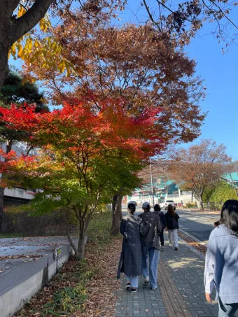 단풍구경 전국 명산 50대 이상 안전한 등산로 추천_19