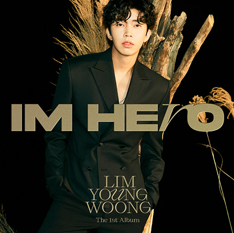 임영웅 콘서트 TV