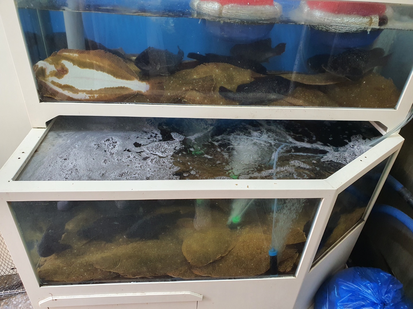 수조