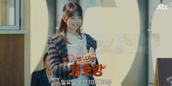 JTBC 힐링 예능 &amp;#39;집나가면 개호강&amp;#39;소개 &amp; 촬영지 정보