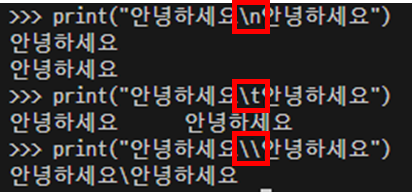 이스케이프 문자