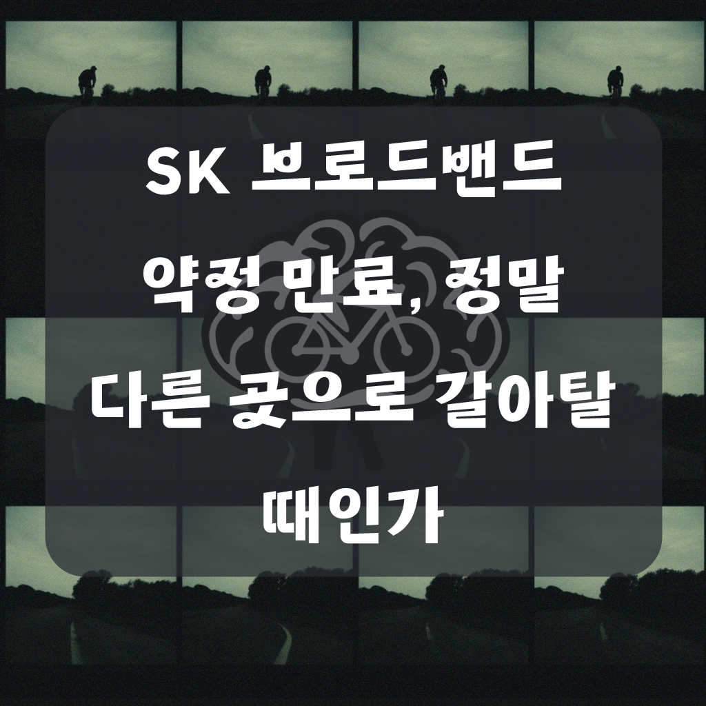 SK 브로드밴드 TV 인터넷 약정 끝나고 다른 곳으로 갈아탈까 고민중인데