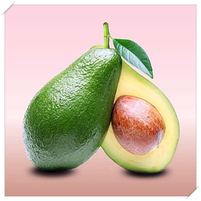 식도염 좋은 음식