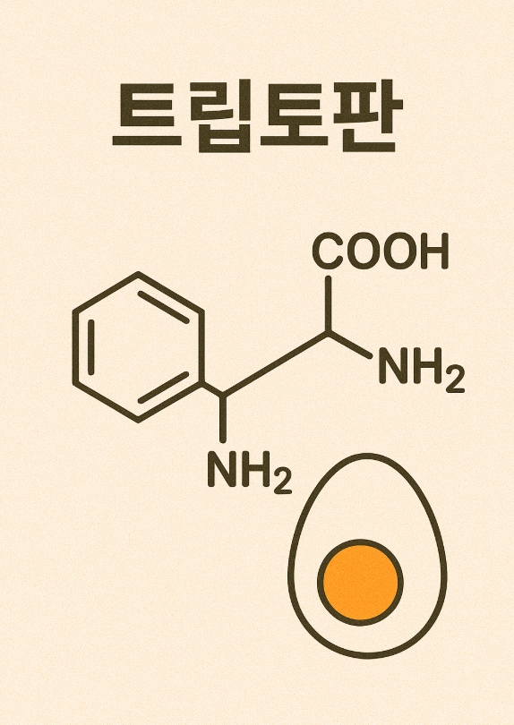트립토판