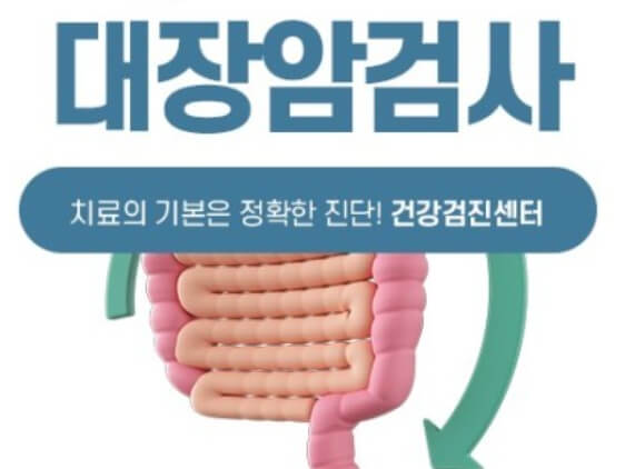 신체-대장-구조