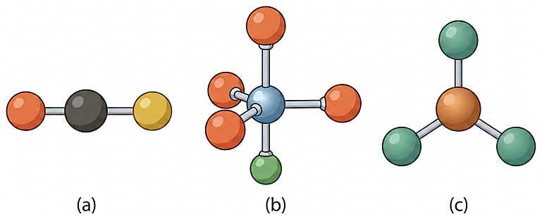 Which of the molecules (a)-(c) are polar?