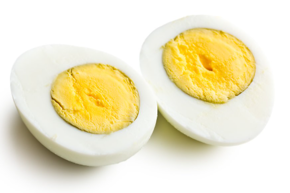 대장내시경 금식