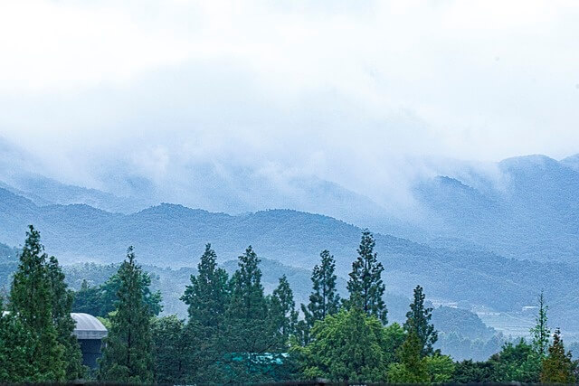 비 개인 아침 풍경