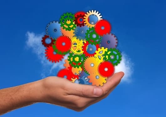 사회적 문화와 일상생활