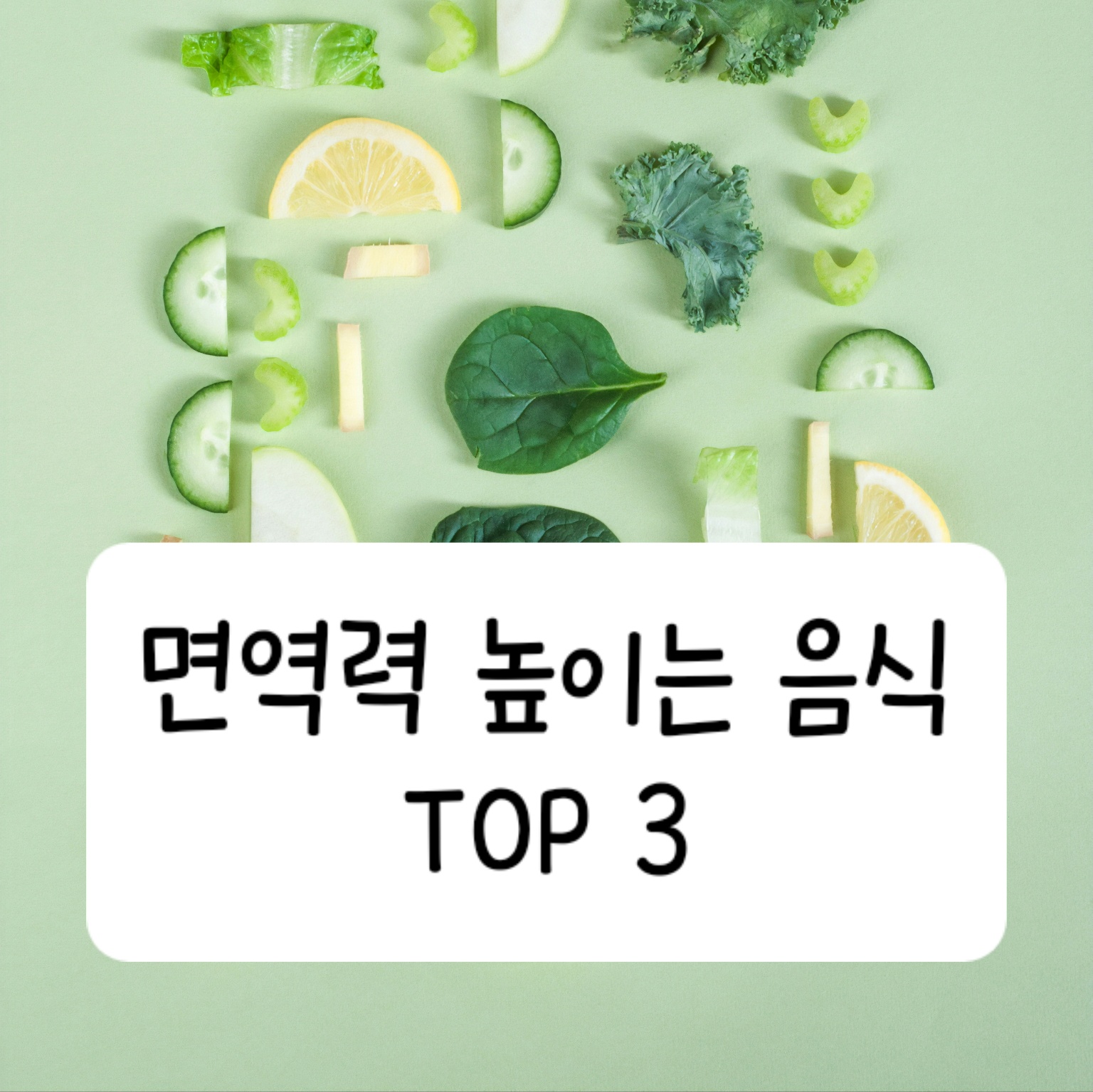 면역력 높이는 음식