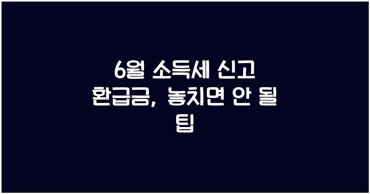 6월 소득세 신고 환급금