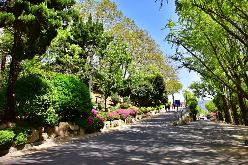 용두산 공원